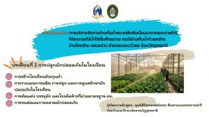 การปลูกผักปลอดภัยในโรงเรีอน